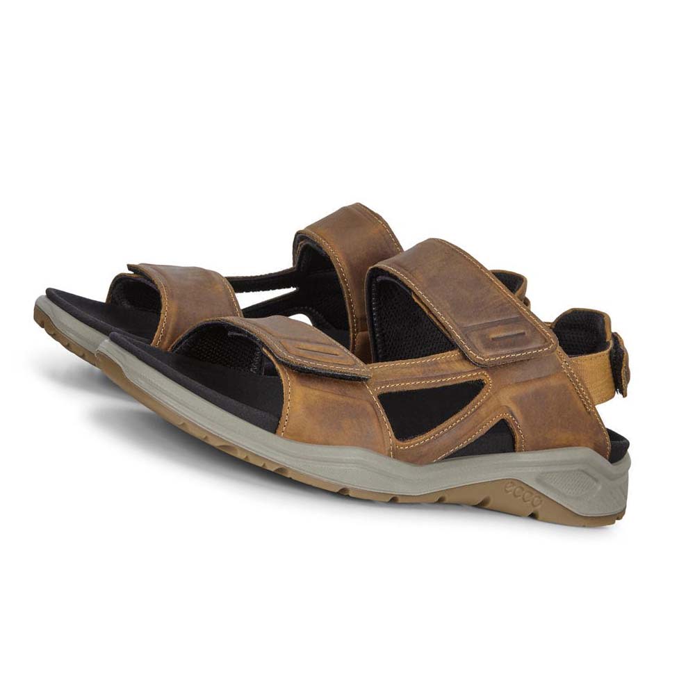 Ecco X-trinsic Flate Sandaler Herre Brune | NO 592LIS